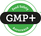 GMP